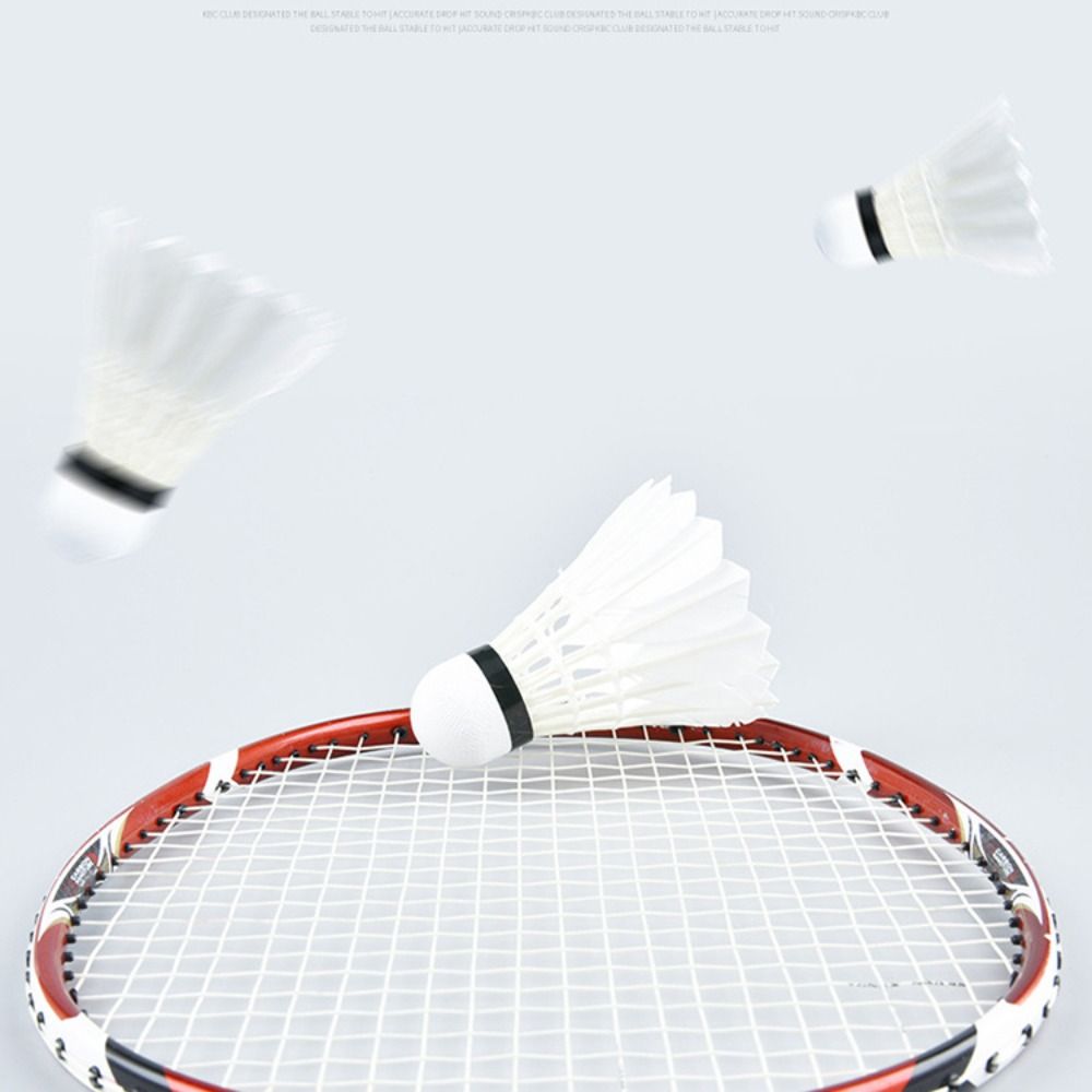 3/6/12 Stück Neue Weiße Badmin – Feather Shuttlecock Bewertung und Preis
