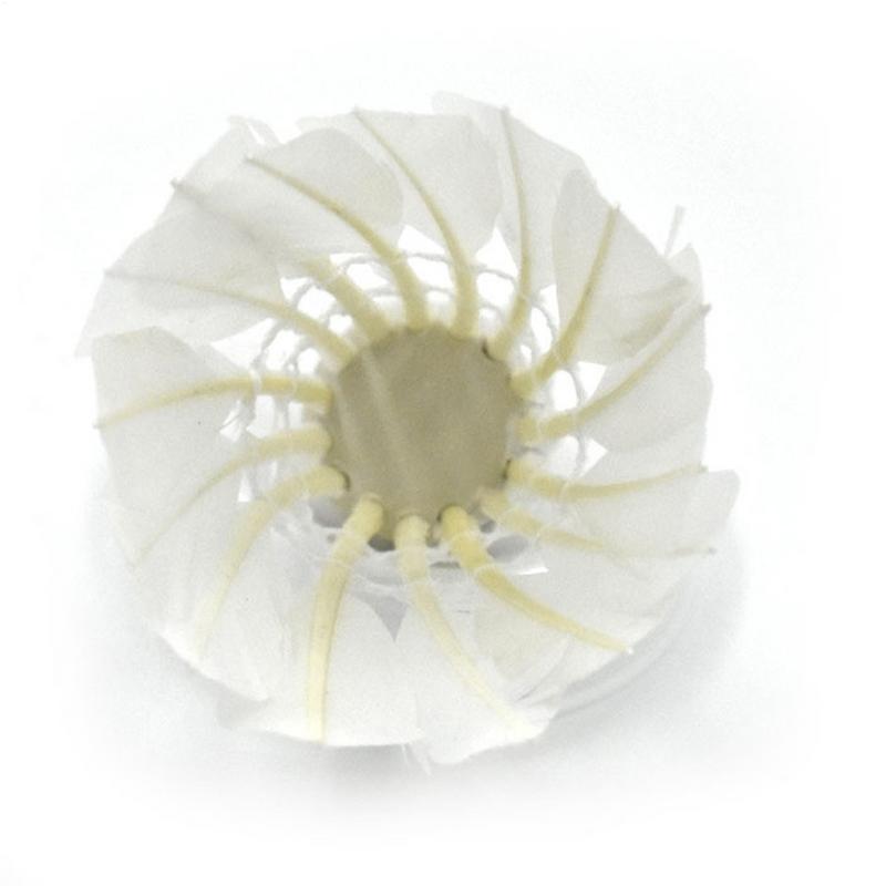 12 Stück langlebige Badminton- – Feather Shuttlecock Bewertung und Preis