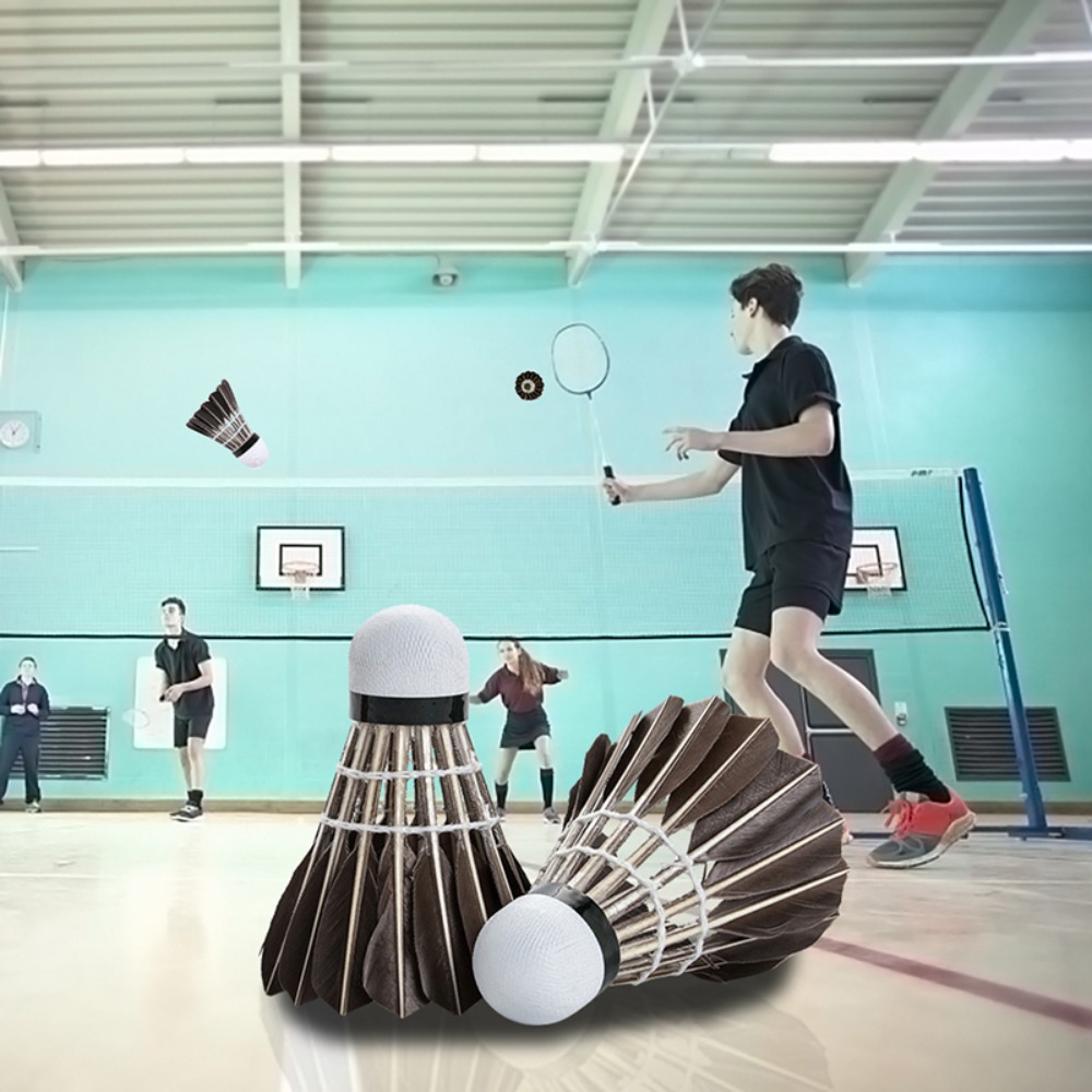3/6/12 Stück Zubehör Stabile S – Feather Shuttlecock Bewertung und Preis